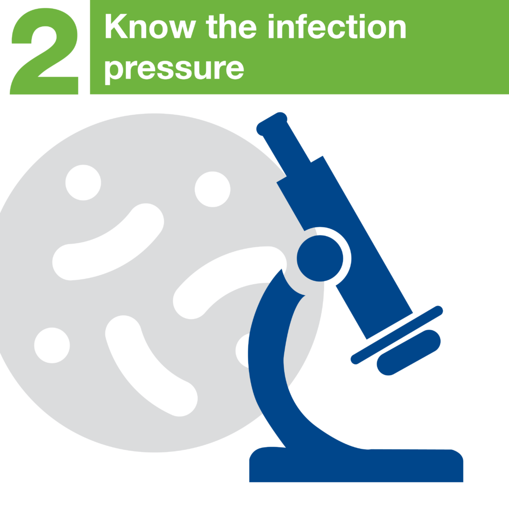 Download on the Apple App Store